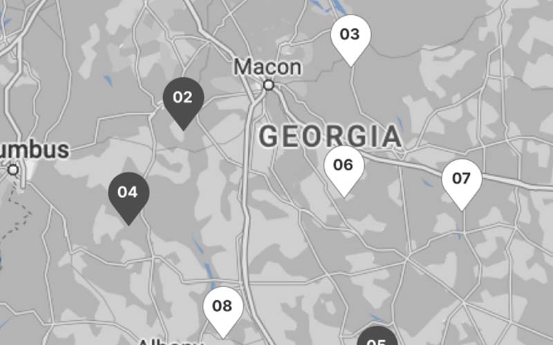 Map of Georgia 